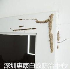 ڻݿρҾӰρ皢
